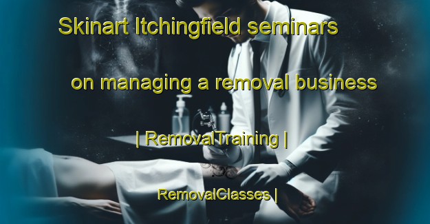 Skinart Itchingfield seminars on managing a removal business | RemovalTraining | RemovalClasses | SkinartTraining-United Kingdom